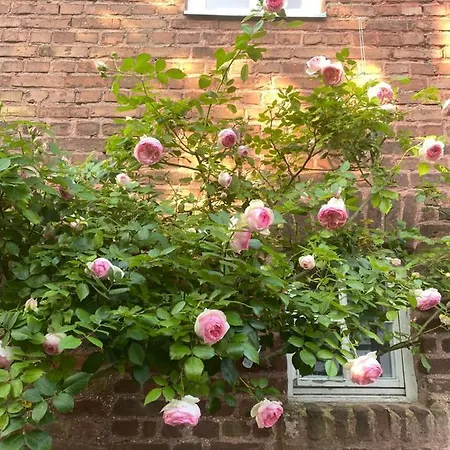 Scheunentraum Brenig Bornheim (Rheinland)