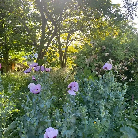 Scheunentraum Brenig