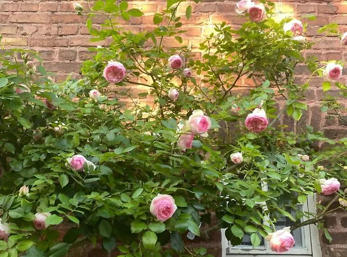 Scheunentraum Brenig Bornheim (Rheinland)