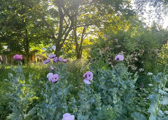 Scheunentraum Brenig