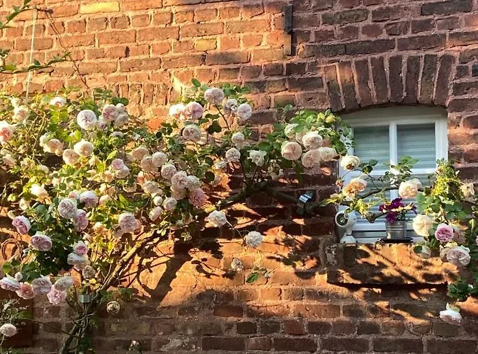 Scheunentraum Brenig